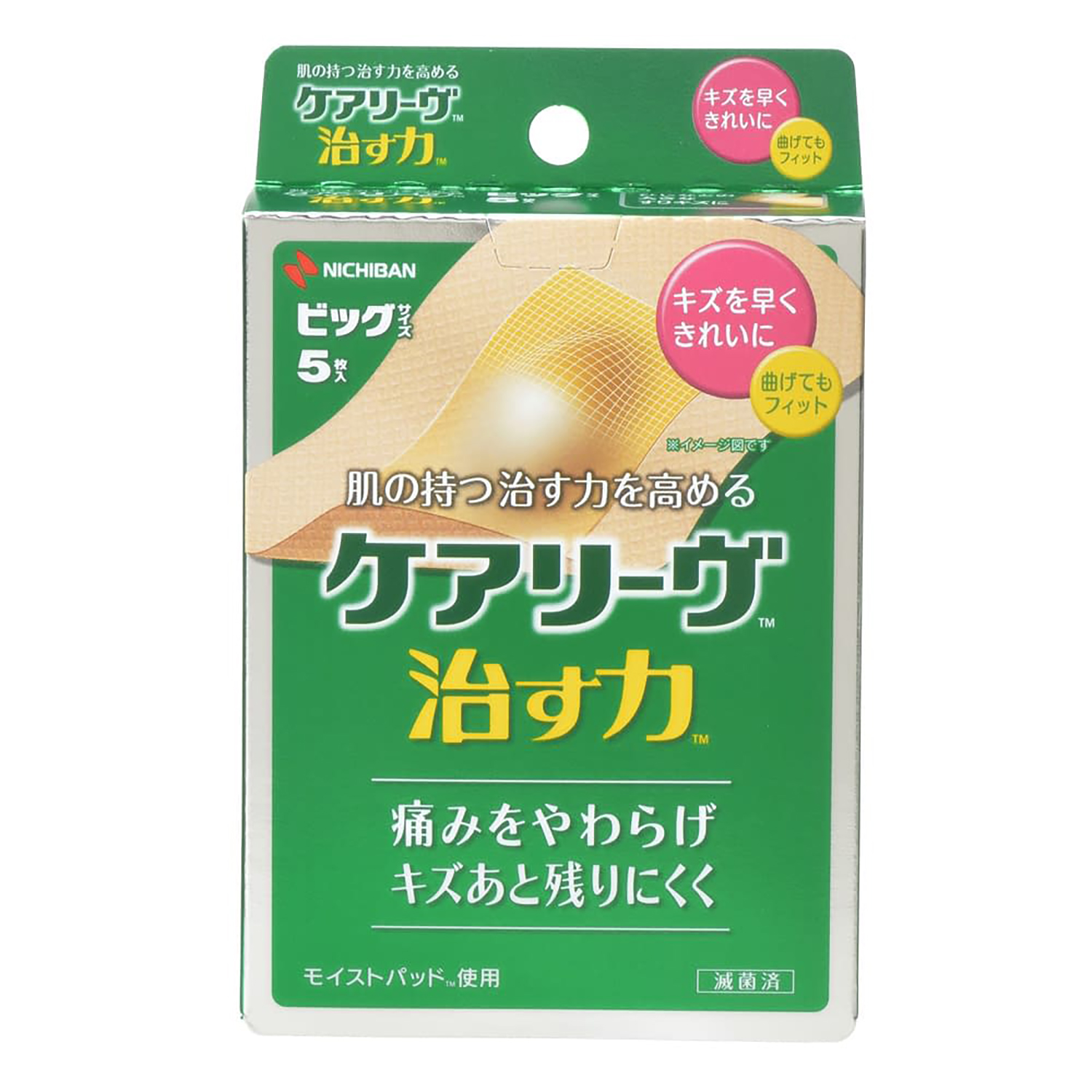 ケアリーヴ 治す力 ビッグ